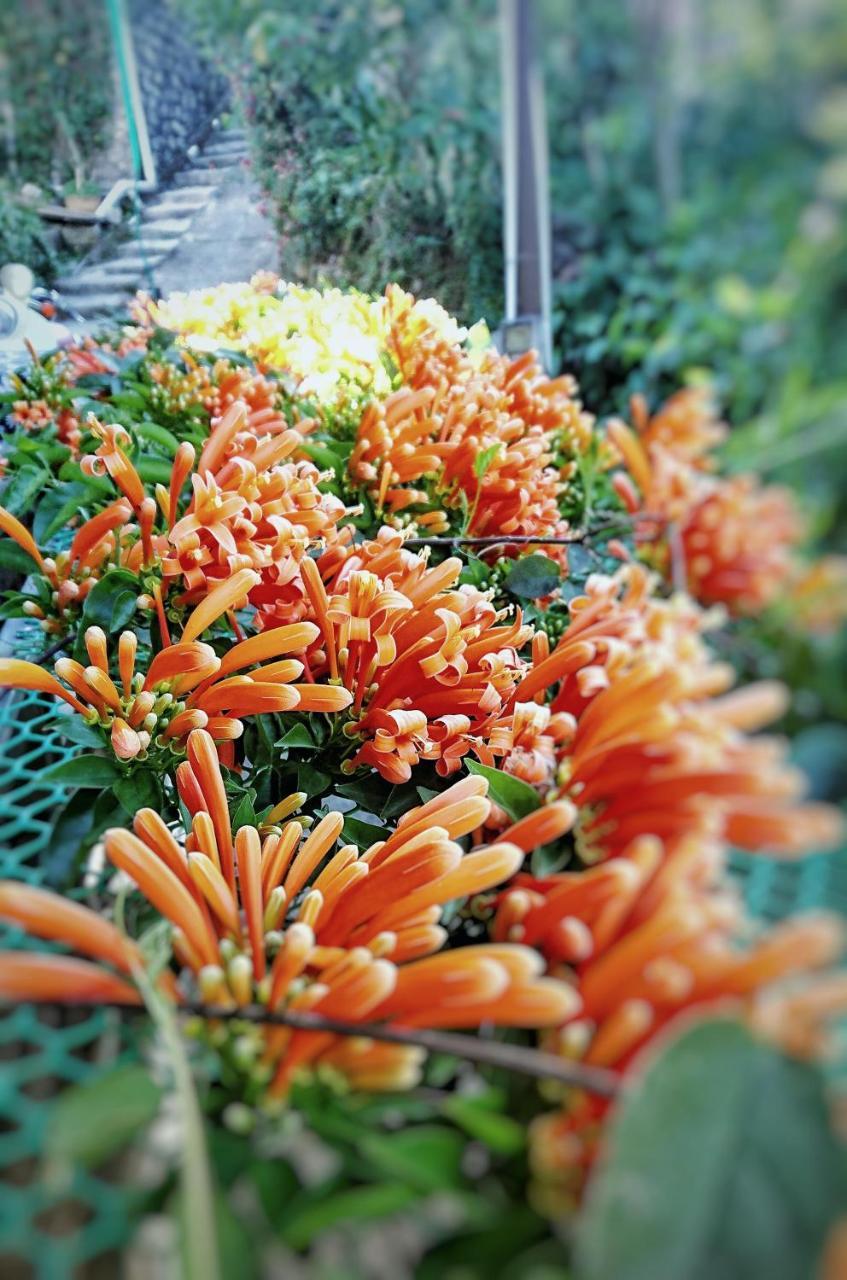 Dalat Inn Homestay المظهر الخارجي الصورة