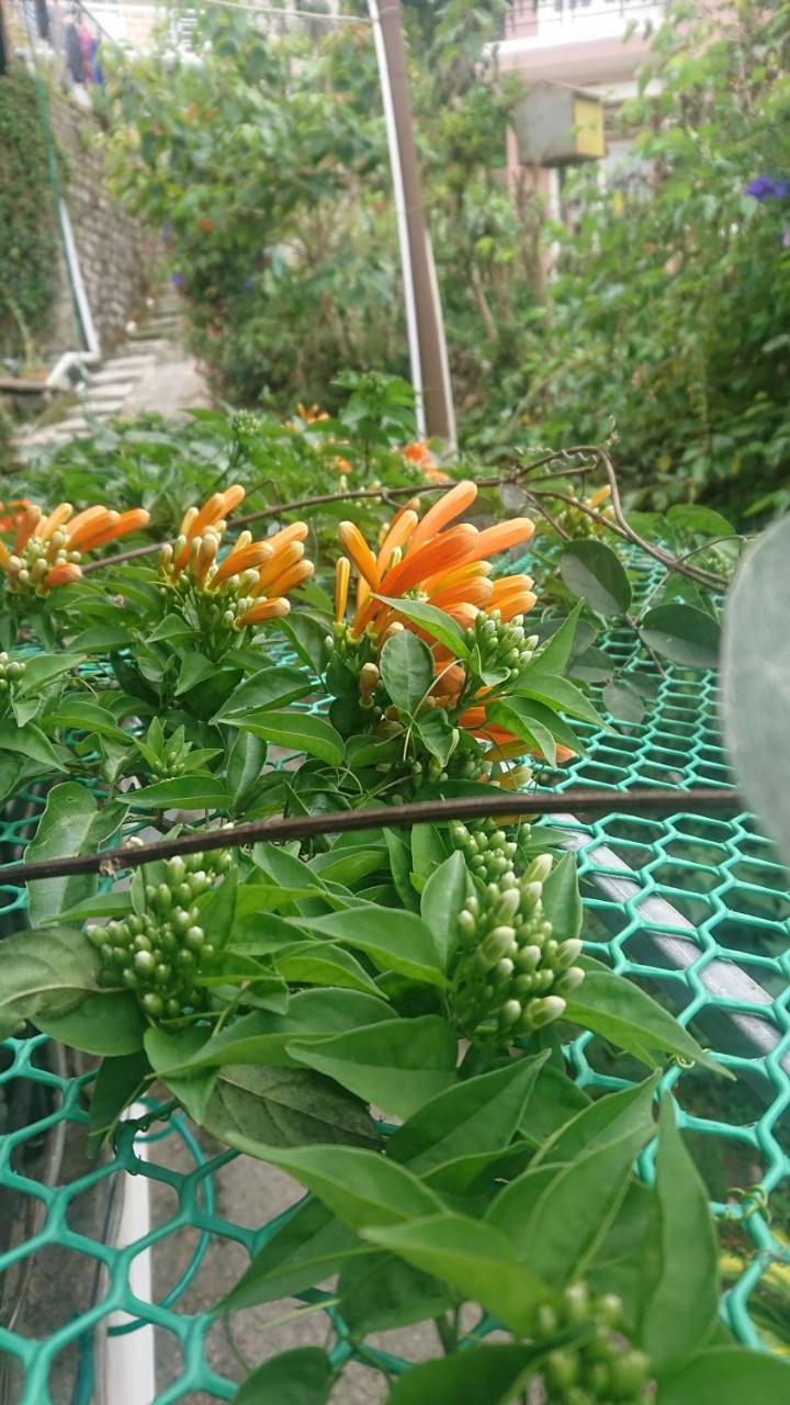 Dalat Inn Homestay المظهر الخارجي الصورة