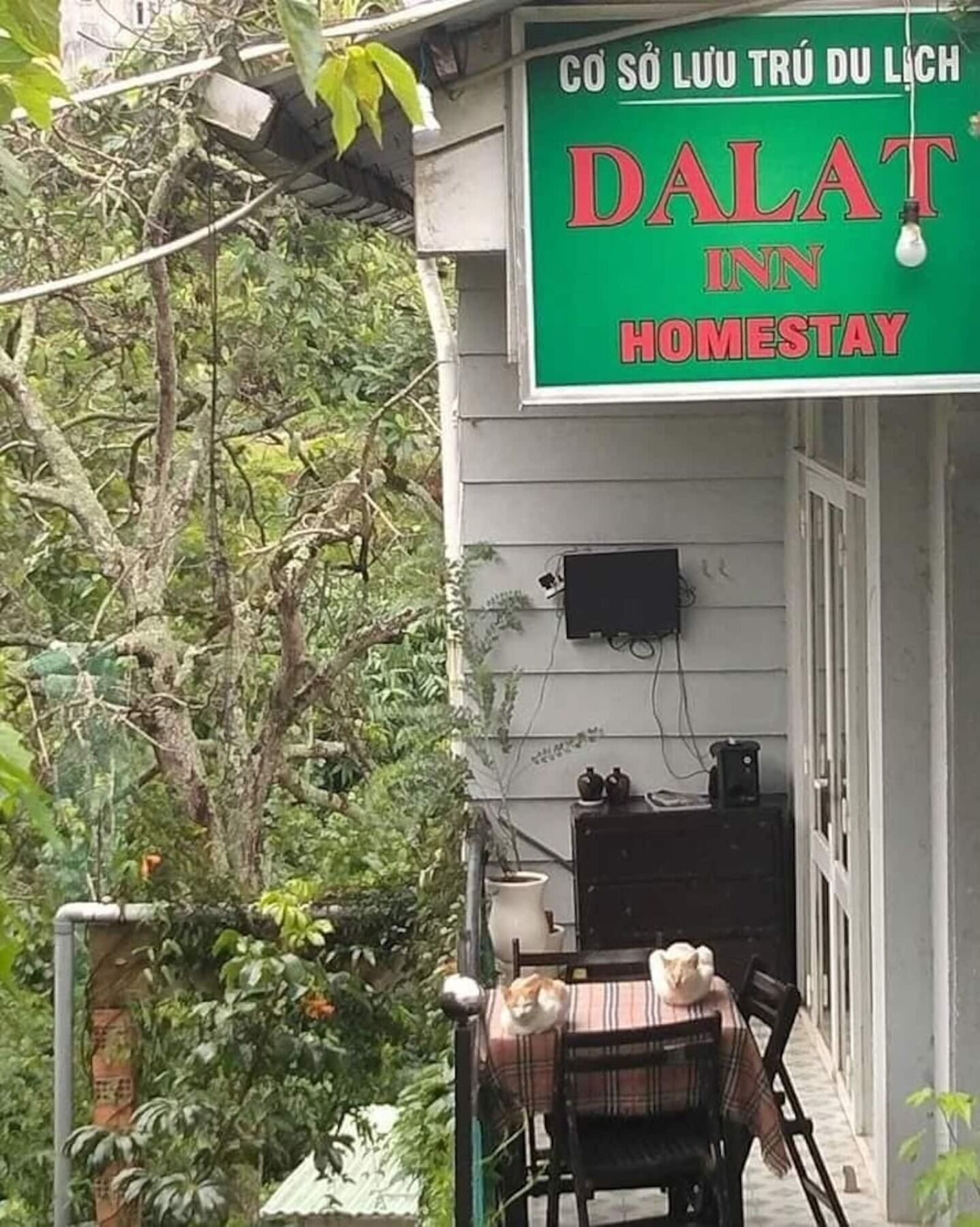 Dalat Inn Homestay المظهر الخارجي الصورة